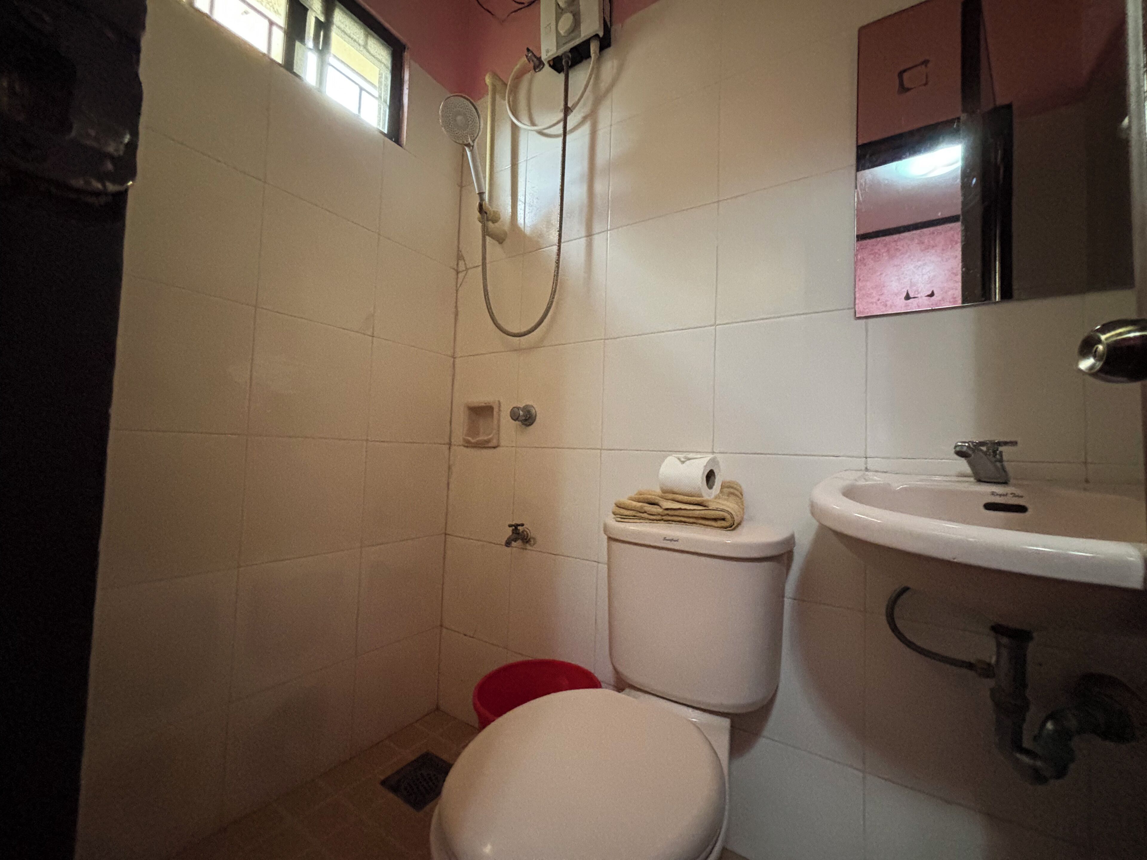 Une petite salle de bain avec des toilettes, un lavabo et une douche.