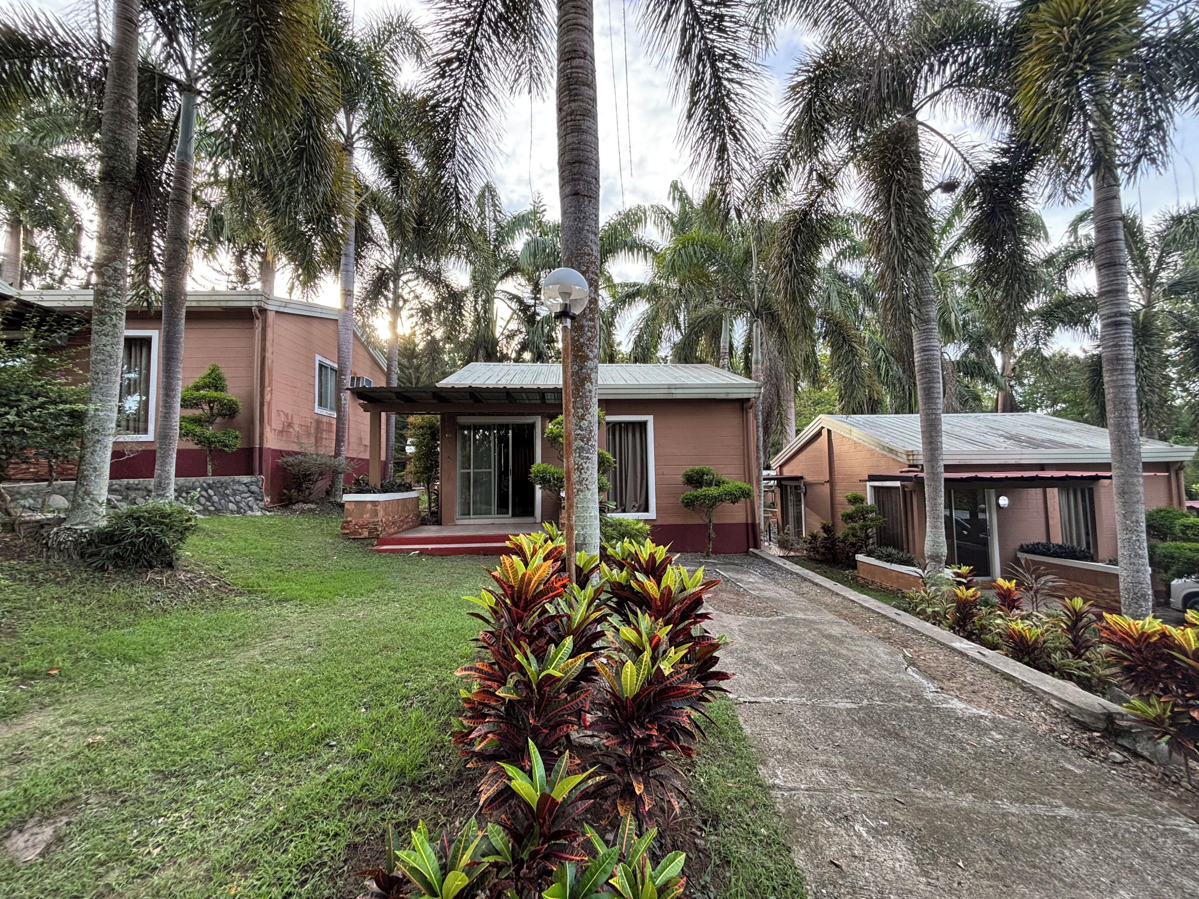 A residential area with two houses, a paved driveway, and lush greenery including palm trees and well-maintained lawns.