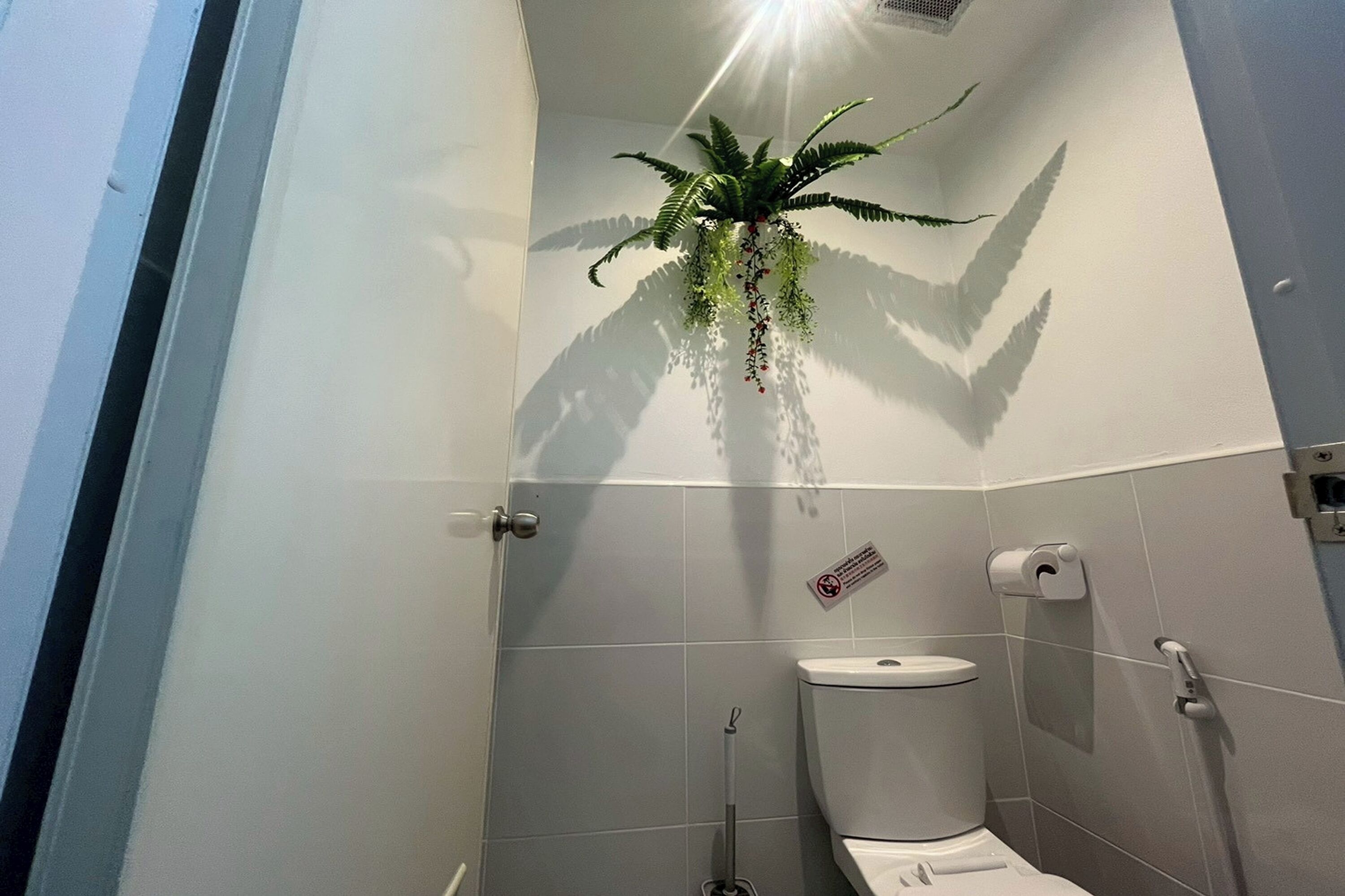 A bathroom with a toilet, a hand dryer, a hand soap dispenser, and a plant hanging from the ceiling.