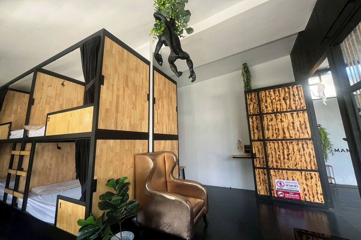 A modern room with bunk beds, a cushioned chair, and a decorative plant.