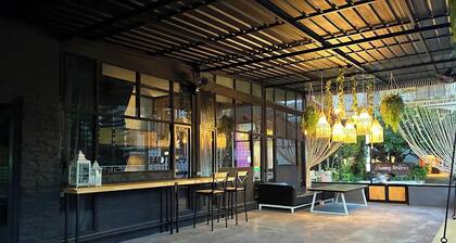Lazy Lizard Hostel
