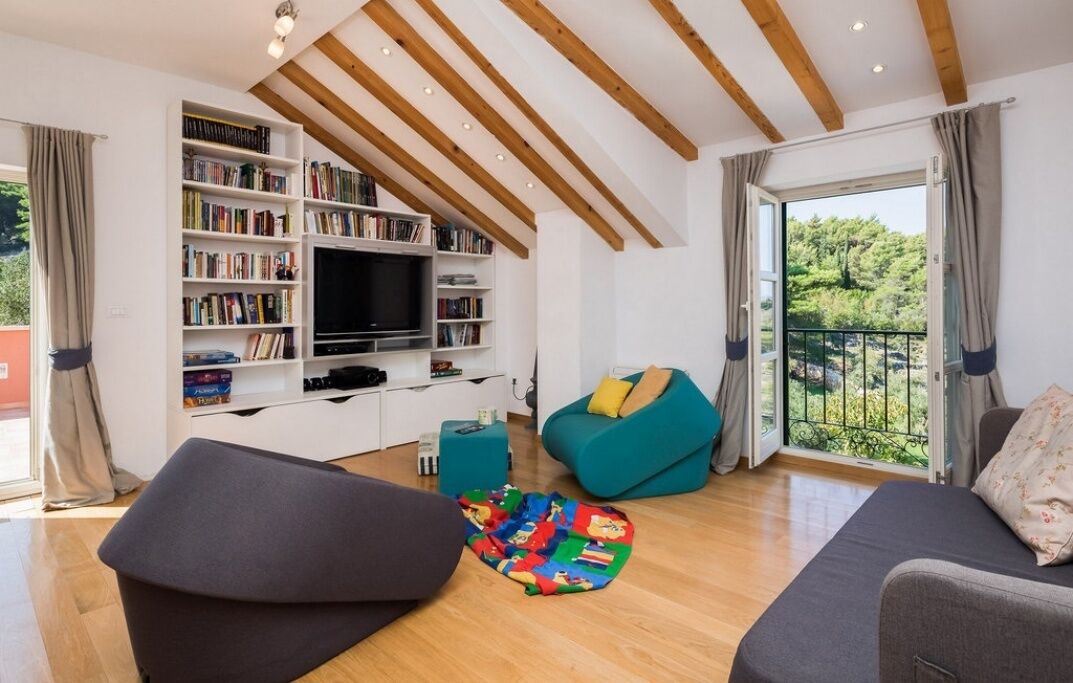 TV connectée, cheminée, livres, médiathèque