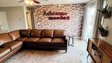 TV, fireplace, books