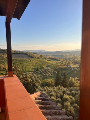 Property grounds - Belvedere House – Stunning Apartment in the Heart of Peccioli (Peccioli)