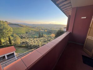 Property grounds - Belvedere House – Stunning Apartment in the Heart of Peccioli (Peccioli)