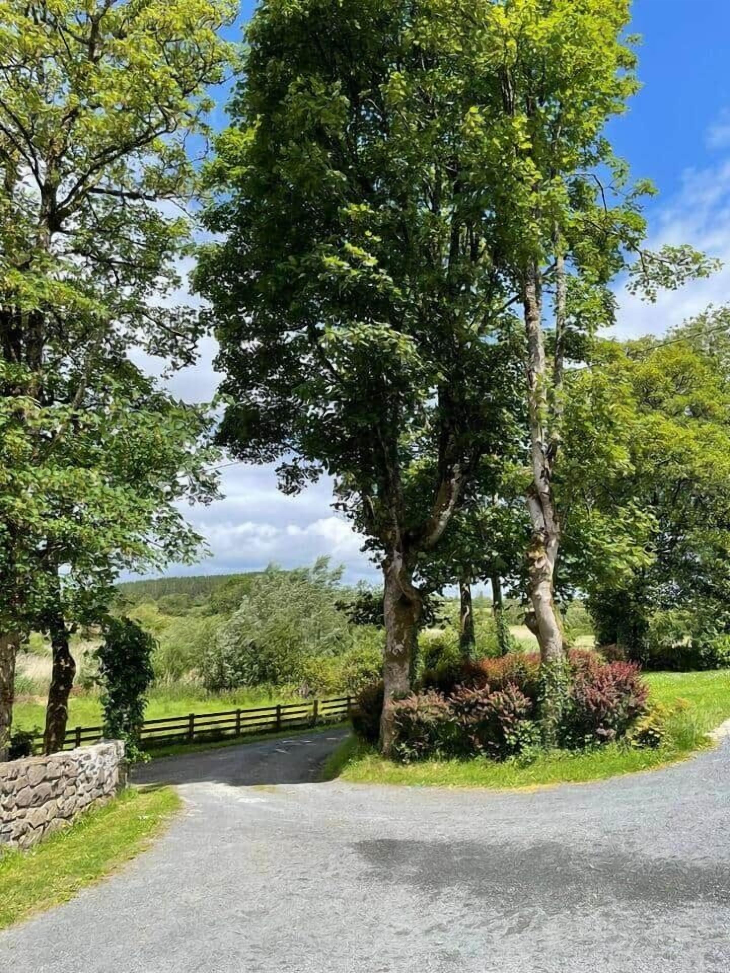 Un camí rural amb un mur de pedra d'un costat i una zona enjardinada amb arbres a l'altre.