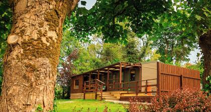 Riverside Cabin in Cavan’s Lake District - Pet Friendly & Great Fishing Spot
