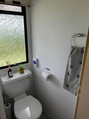 Ducha, secador de pelo, toallas y jabón