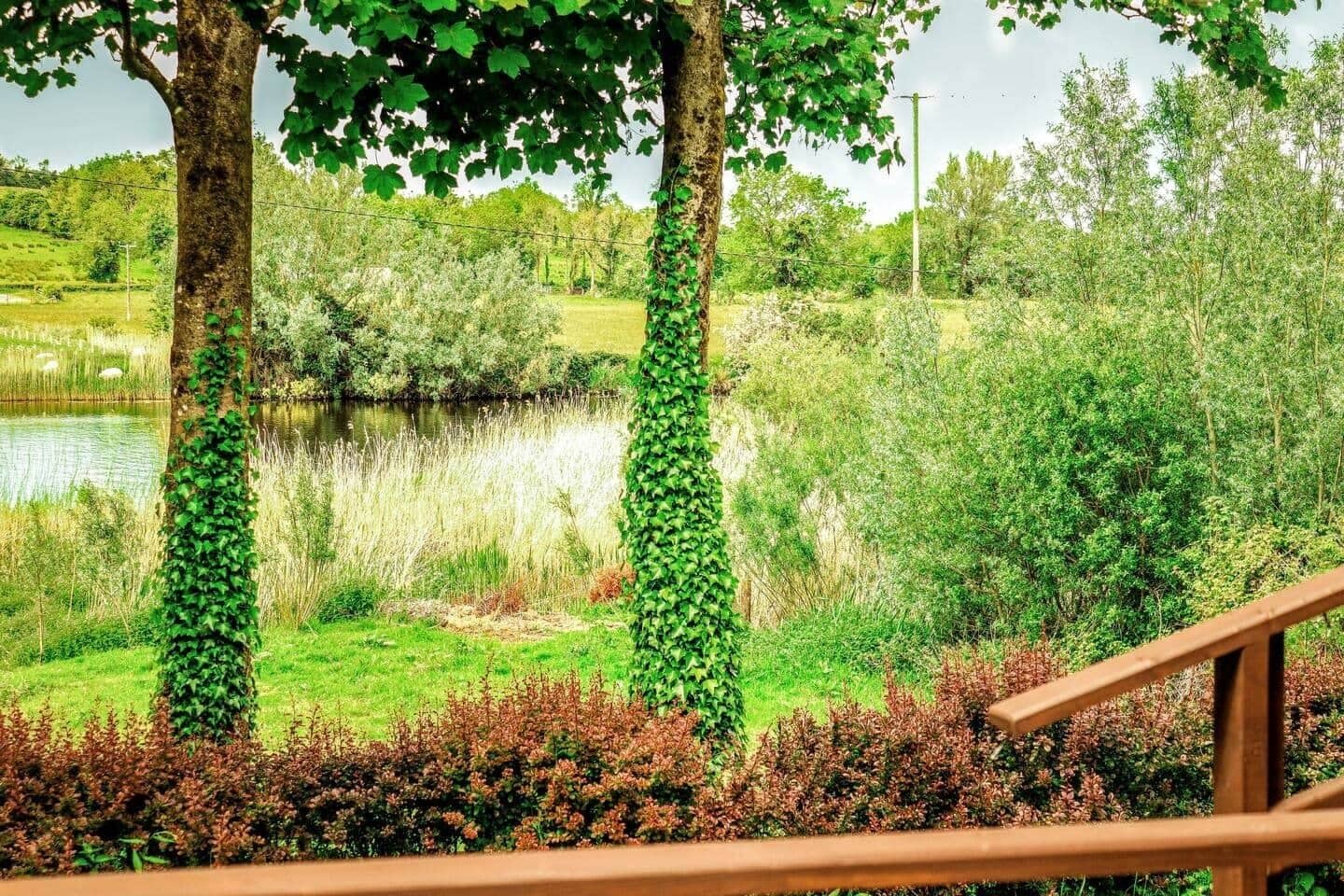 Àrea exterior de l'allotjament