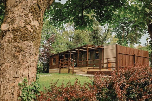The Cabin
