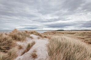 Unclassified image, 5 of 23, button - Vacation apartment DEICHBLICK 200m to the beach Zingst Darß - Holiday apartment DEICHBLICK (Zingst)