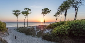Une plage avec un chemin dégagé menant à la mer, entourée d’arbres et de végétation.