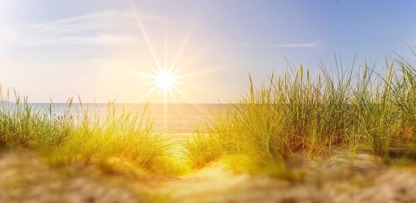 Nicht klassifiziertes Bild, 1 von 23, Schaltfläche