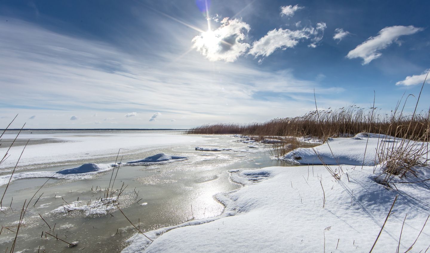A frozen river with snow-covered banks and sparse vegetation.