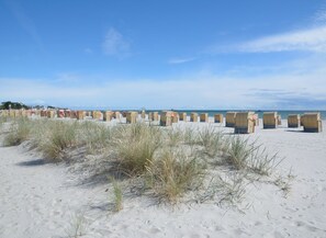 Beach - Vacation apartment DEICHBLICK 200m to the beach Zingst Darß - Holiday apartment DEICHBLICK (Zingst)