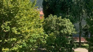 Une vue d’un parc verdoyant et luxuriant, avec des arbres et un bâtiment situé au loin, sur une colline.