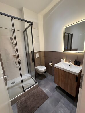 Shower, hair dryer, towels