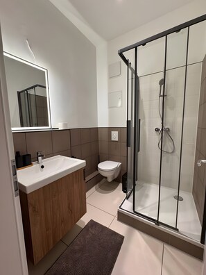 Shower, hair dryer, towels