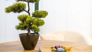 Mustassa ruukussa oleva bonsaipuu puupöydällä, pöydällä on myös leikkuulauta ja suklaapatukoita.