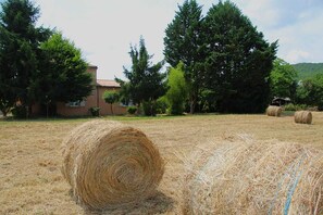 Property grounds - Villa des Oiseaux (Lanzac)