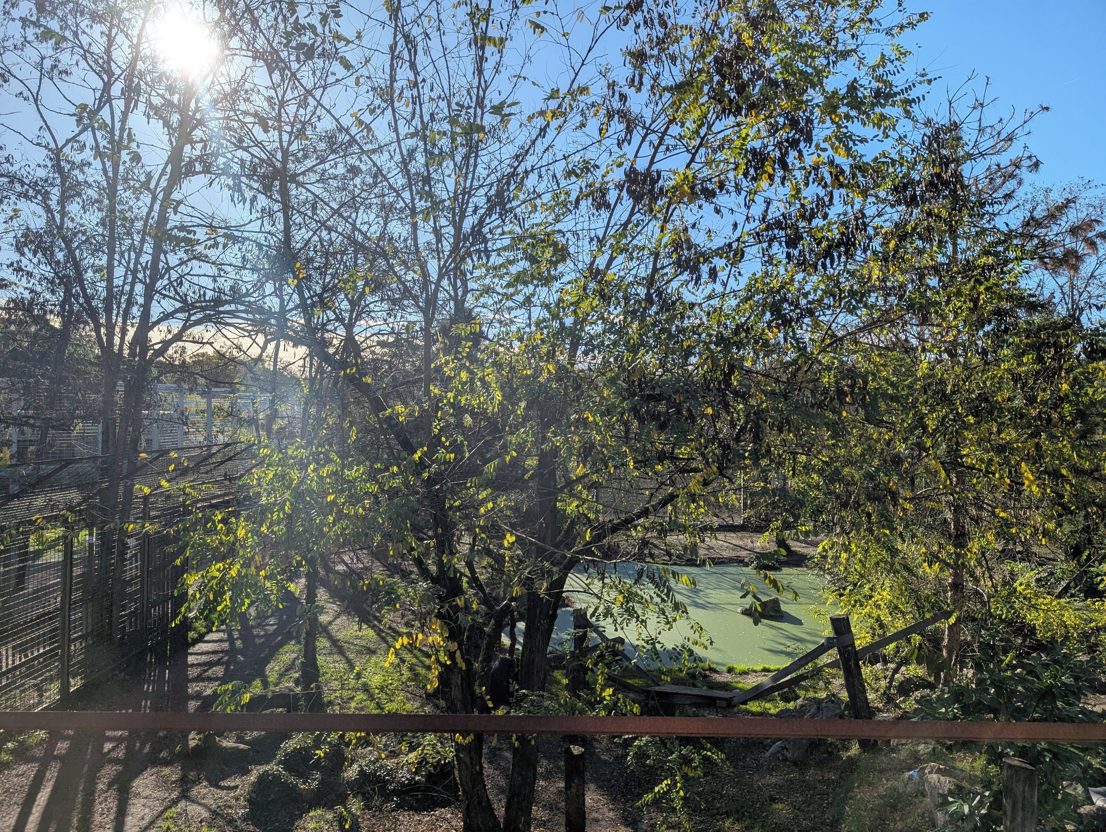 Un espace extérieur clos, agrémenté d’arbres et d’un étang.