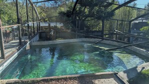 A clear pool with a wooden deck in a fenced enclosure, surrounded by trees and a building in the background. - Night Experience By Zoo Bordeaux Pessac (Pessac)