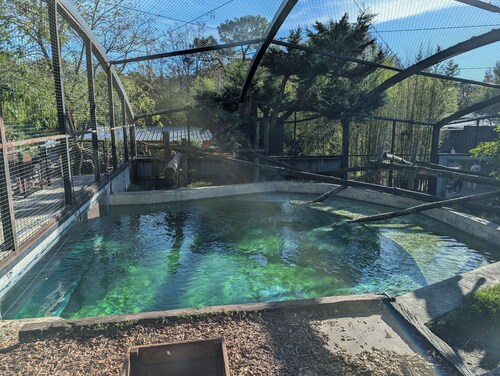 Night Experience By Zoo Bordeaux Pessac