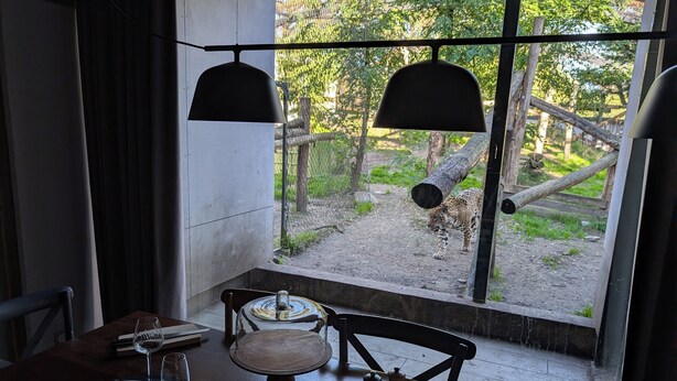 A dining table with plates, cutlery, and glasses, set against a window overlooking a fenced outdoor area with trees. - Night Experience By Zoo Bordeaux Pessac (Pessac)