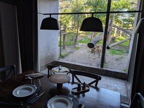 Ein Esstisch mit Tellern, Besteck und Gläsern, vor einem Fenster mit Blick auf einen von einer Hecke umgebenen Außenbereich mit Bäumen.