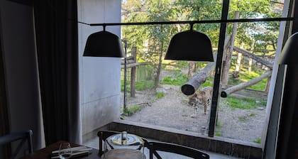 Night Experience By Zoo Bordeaux Pessac