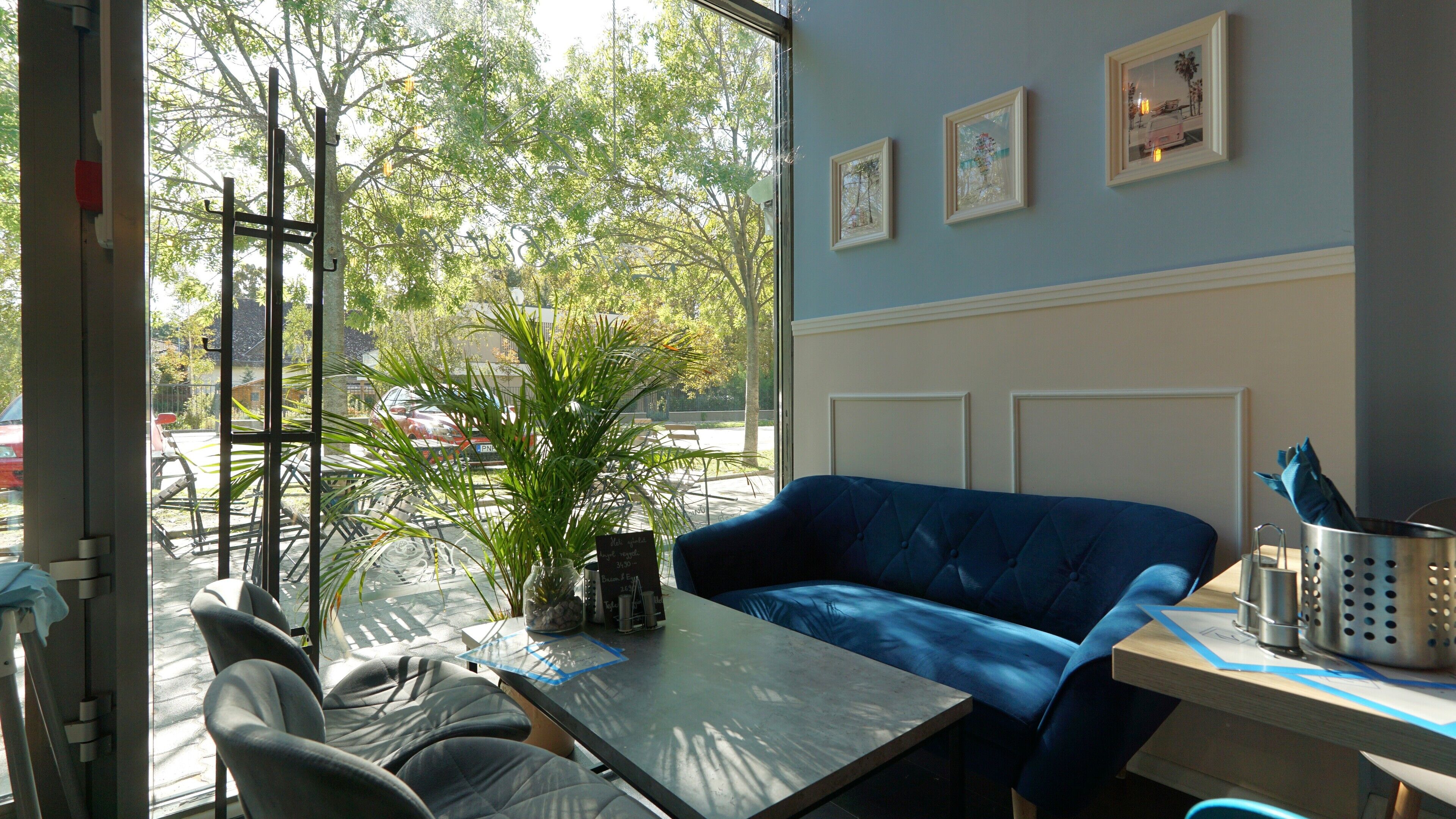 A room with a blue sofa, a dining table, chairs, a potted plant, and framed pictures on the wall.