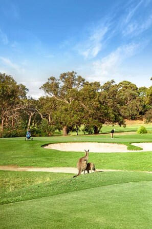 Golf - Kurraburra Lodge - Anglesea (Anglesea)