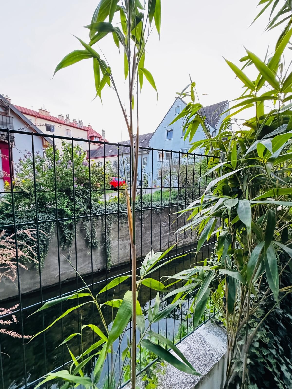 A garden with a water feature, surrounded by a metal fence, with houses in the background.