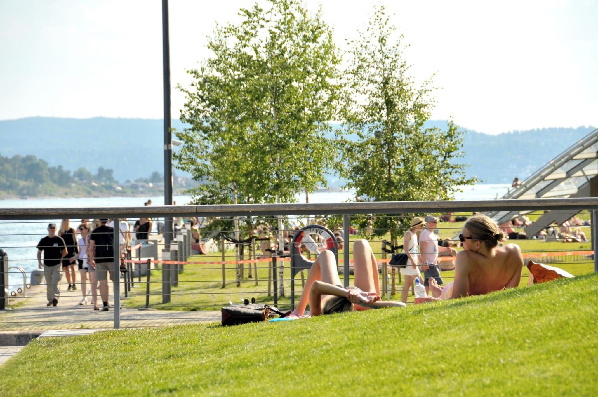 Căn hộ, 1 phòng ngủ, phù hợp cho người khuyết tật, hút thuốc | Khuôn viên nơi lưu trú