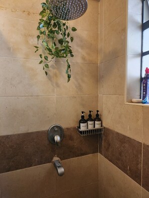 Shower, bidet, towels, soap