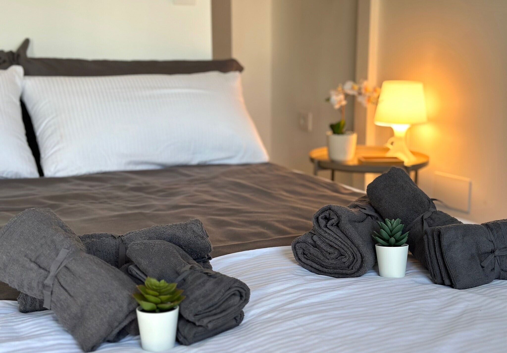 2 dormitorios, tabla de planchar con plancha, wifi y ropa de cama