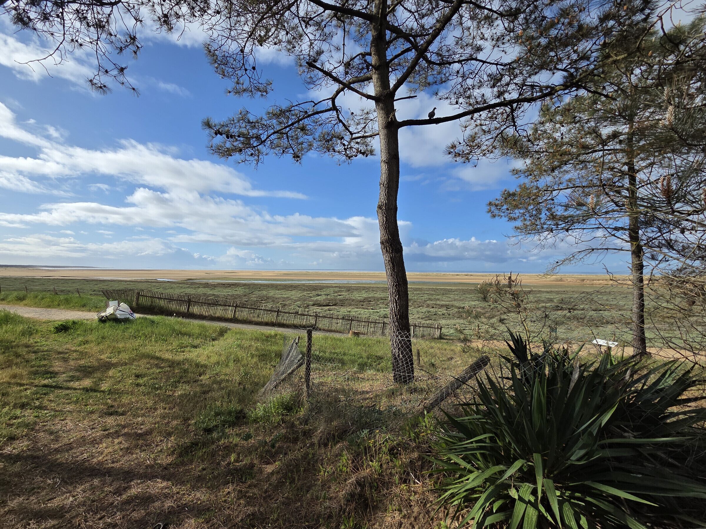 Eine Landschaft mit Baum, Zaun und weiter Aussicht auf ein ebenes Gelände.