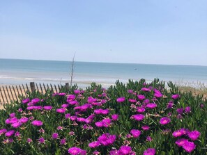 A beach with purple flowers in the foreground and a clear view of the ocean. - Renovated house near beach and forest, perfect for 6 guests (La Tranche-sur-Mer)
