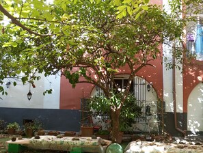 Property grounds - Positioned a few meters from the Waterfront, the Beach and the Railway. (Castellammare di Stabia)