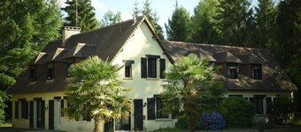 Peaceful forest retreat, perfect for family and friends