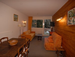 Fernseher