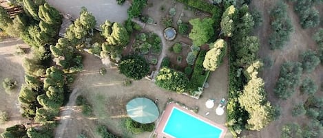 An aerial view of a property with a swimming pool, a circular hot tub, and a garden area with various trees and shrubs.