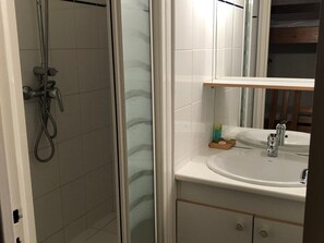 Bathroom - Gourette Studio, 6 pax, WIFI, pets allowed (Gourette)