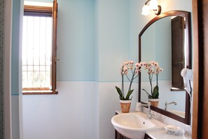 Shower, hair dryer, towels