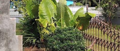 House, 1 Bedroom, Smoking, Patio | Garden