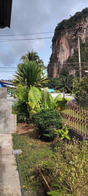 A garden with large tropical plants, a metal fence, and a cliff in the background. - Greeneryhousekrabi52 (Krabi)