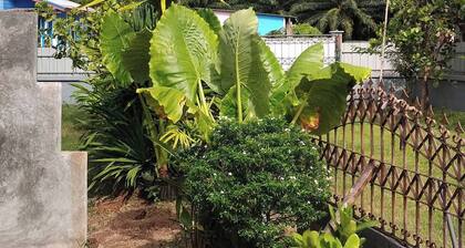 Greeneryhousekrabi52