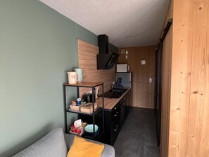 Fridge, microwave, oven, stovetop - Renovated 2-room apartment, town center, garage, pets allowed (Arâches-la-Frasse)