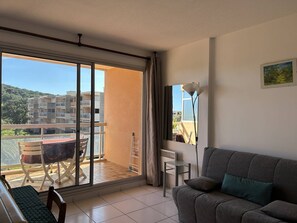 TV - Studio with terrace in Bormes-les-Mimosas (Bormes-les-Mimosas)