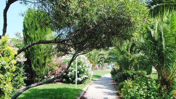 A pathway flanked by lush greenery and flowering plants, leading through a well-maintained garden area. - Studio with terrace in Bormes-les-Mimosas (Bormes-les-Mimosas)